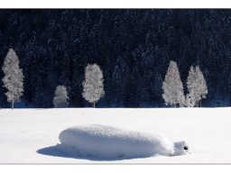 Wolfgang Seidel "Winterzauber"